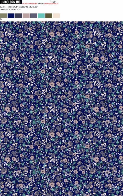 KHO244_C55 KHO244_D6