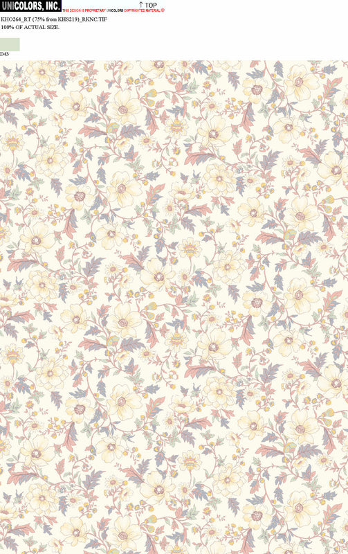 KHO264_D69 KHO264_D43