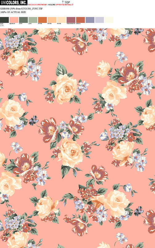 KHR098_C17 KHR098_C19