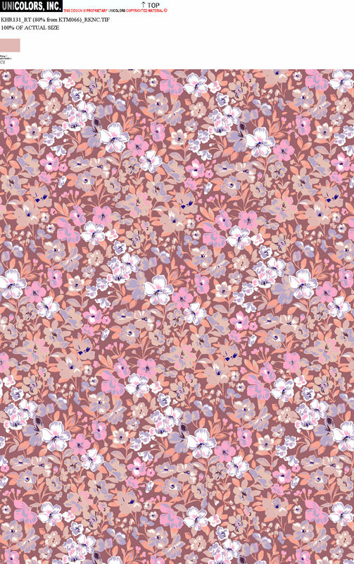 KHR131_C12 KHR131_C8