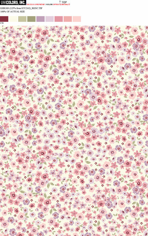 KHR389_C20 KHR389_C31