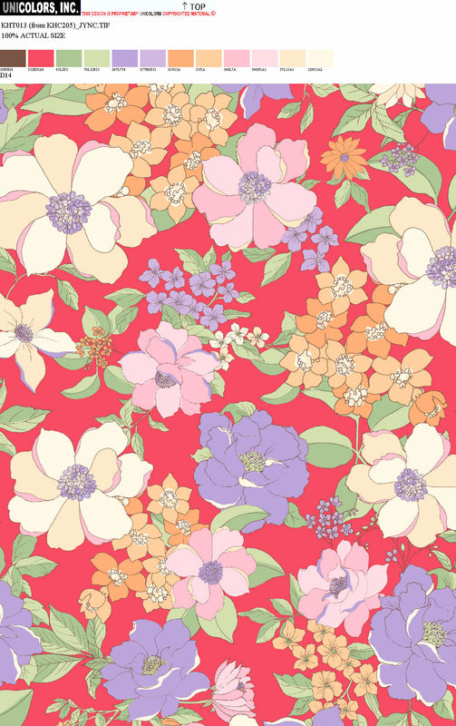 KHT013_D1 KHT013_D14