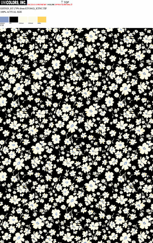 KHT029_C1 KHT029_C18