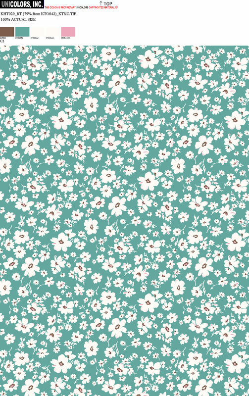 KHT029_C1 KHT029_C2