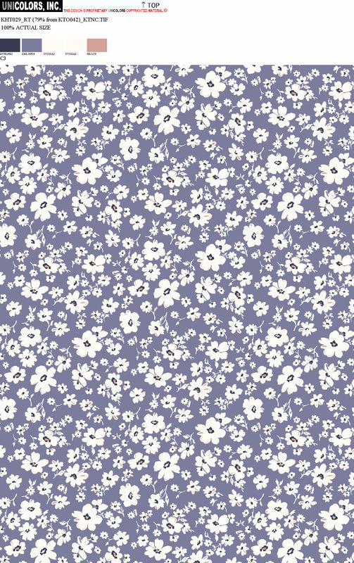KHT029_C1 KHT029_C3
