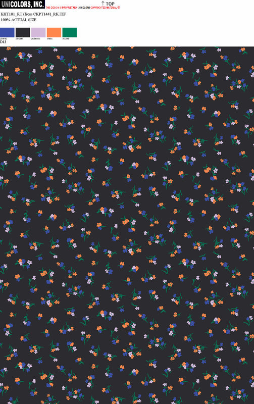 KHT101_D1 KHT101_D13