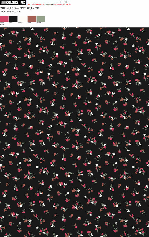 KHT101_D1 KHT101_D20