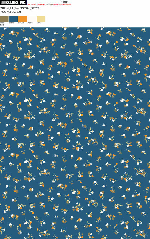 KHT101_D1 KHT101_D22