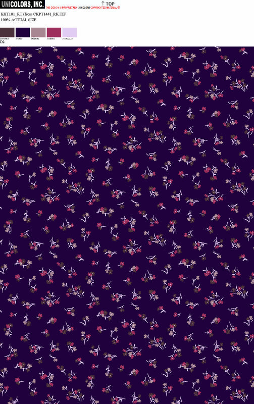KHT101_D1 KHT101_D2