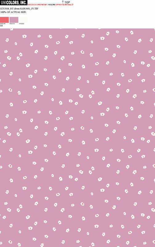 KTC038_C1 KTC038_C6