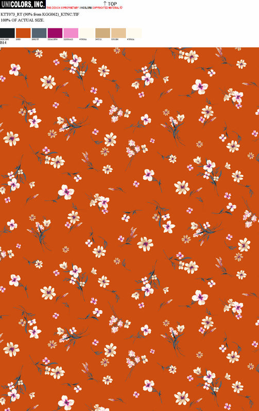 KTT073_D3 KTT073_B14